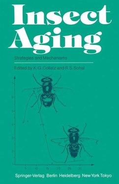 Insect aging., Strategies and mechanisms.