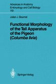 Functional Morphology of the Tail Apparatus of the Pigeon (Columba livia)