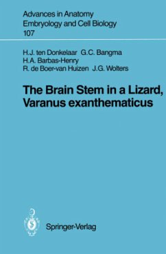 The Brain Stem in a Lizard, Varanus exanthematicus - Donkelaar, Hendrik J. ten; Bangma, Gesineke C.; Barbas-Henry, Heleen A.; Boer-van Huizen, Roelie de; Wolters, Jan G.;