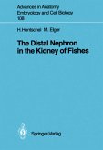 The Distal Nephron in the Kidney of Fishes