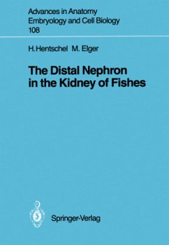 The Distal Nephron in the Kidney of Fishes - Hentschel, Hartmut; Elger, Marlies