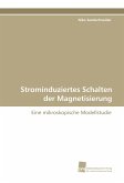 Strominduziertes Schalten der Magnetisierung