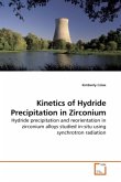 Kinetics of Hydride Precipitation in Zirconium