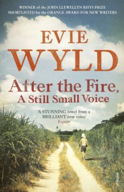 After the Fire, A Still Small Voice - Wyld, Evie