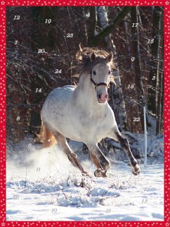 Cover Wintertraum. Winter's Dream