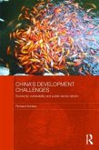 China's Development Challenges