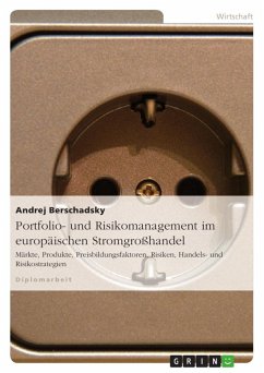 Portfolio- und Risikomanagement im europäischen Stromgroßhandel - Berschadsky, Andrej