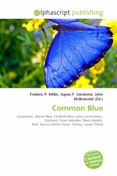 Common Blue