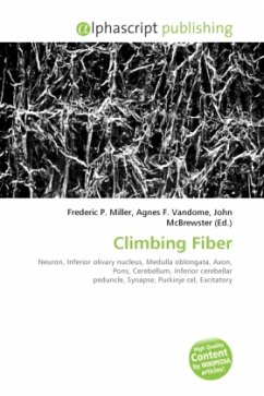 Climbing Fiber