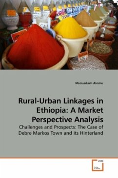 Rural-Urban Linkages in Ethiopia: A Market Perspective Analysis - Alemu, Muluadam