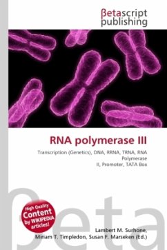RNA polymerase III