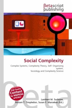 Social Complexity