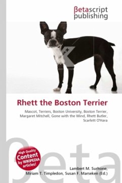 Rhett the Boston Terrier