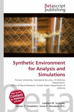 Synthetic Environment for Analysis and Simulations