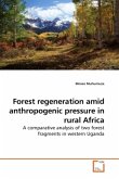 Forest regeneration amid anthropogenic pressure in rural Africa