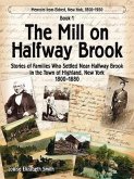 The Mill on Halfway Brook