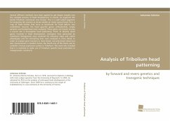 Analysis of Tribolium head patterning - Schinko, Johannes