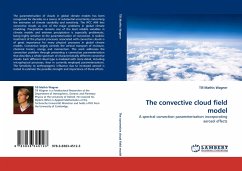 The convective cloud field model