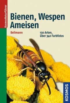 Bienen, Wespen, Ameisen - Bellmann, Heiko