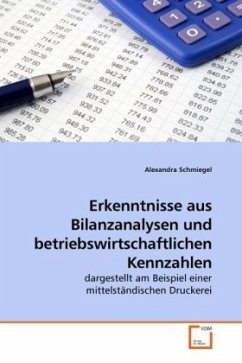 Erkenntnisse aus Bilanzanalysen und betriebswirtschaftlichen Kennzahlen - Schmiegel, Alexandra
