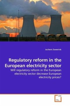 Regulatory reform in the European electricity sector - Zweerink, Jochem