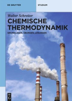 Chemische Thermodynamik - Schreiter, Walter