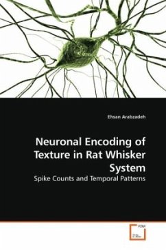 Neuronal Encoding of Texture in Rat Whisker System - Arabzadeh, Ehsan