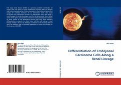 Differentiation of Embryonal Carcinoma Cells Along a Renal Lineage - Shaw, Lisa