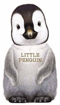 Little Penguin - Caviezel, Giovanni