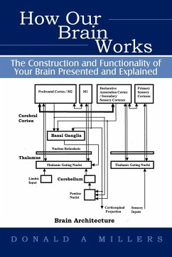 How Our Brain Works - Donald Millers