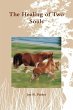The Healing of Two Souls - Bild 1