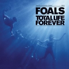 Total Life Forever - Foals