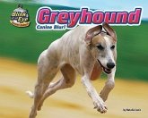 Greyhound: Canine Blur!