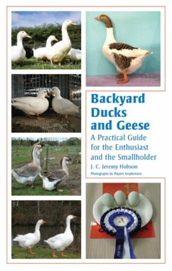 Backyard Ducks and Geese - Hobson, J C Jeremy