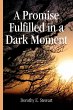 A Promise Fulfilled in a Dark Moment - Bild 1