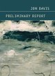 Preliminary Report - Bild 1