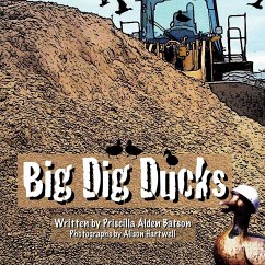 Big Dig Ducks