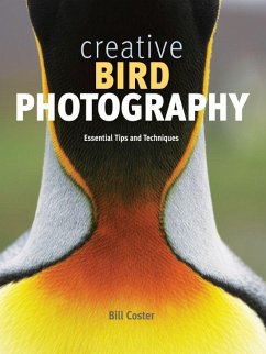Creative Bird Photography: Essential Tips and Techniques - Coster, Bill