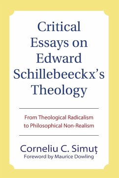 Critical Essays on Edward Schillebeeckx's Theology