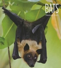 Bats - Gish, Melissa