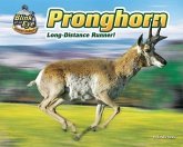 Pronghorn: Long-Distance Runner!