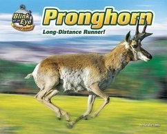 Pronghorn: Long-Distance Runner! - Lunis, Natalie