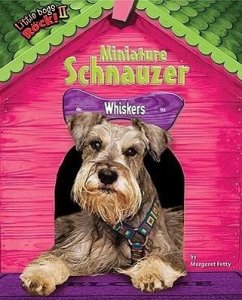 Miniature Schnauzer: Whiskers - Fetty, Margaret