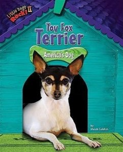 Toy Fox Terrier: America's Dog - Goldish, Meish