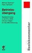 Betriebsübergang (eBook, ePUB) - Bachner, Michael