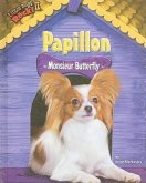 Papillon: Monsieur Butterfly