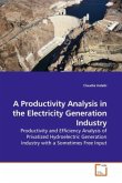 A Productivity Analysis in the Electricity Generation Industry