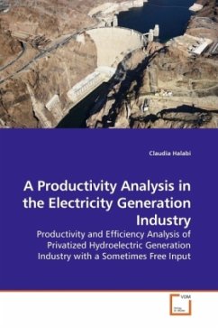 A Productivity Analysis in the Electricity Generation Industry - Halabi, Claudia