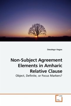 Non-Subject Agreement Elements in Amharic Relative Clause - Hagos, Desalegn