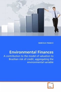 Environmental Finances - FRANCO, MARCELO